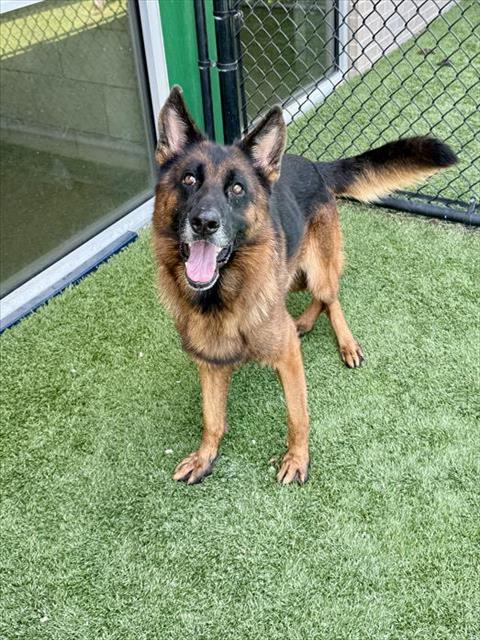 Max