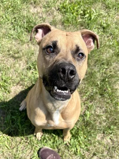 Trevor