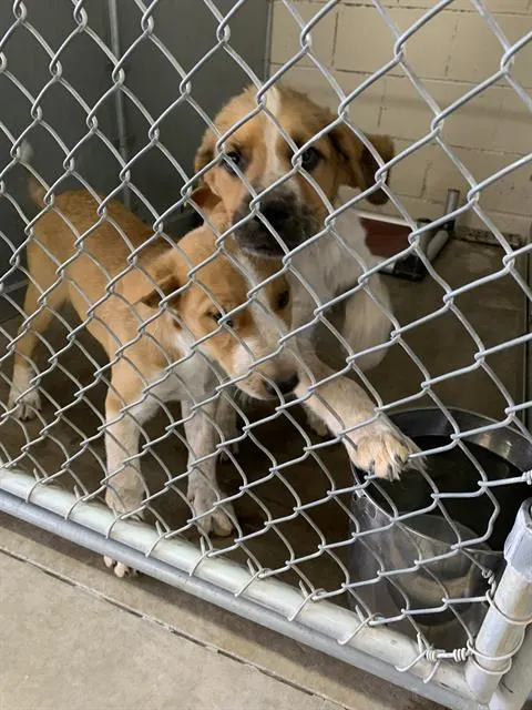 Jonah