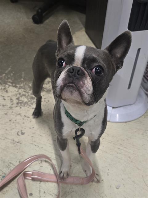 Max