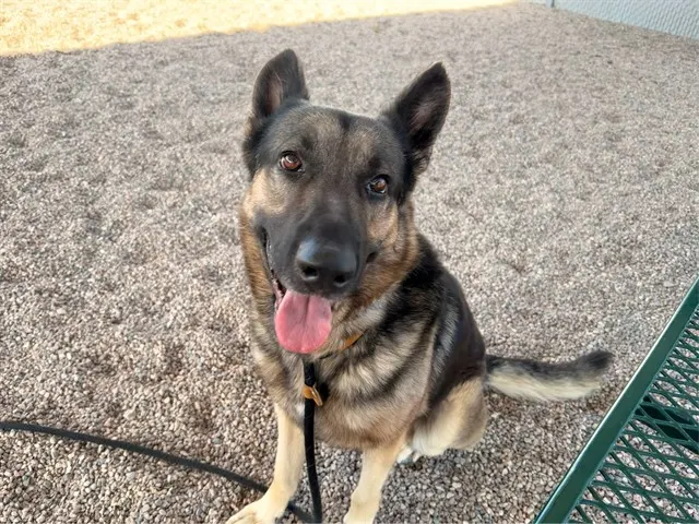 Kairo