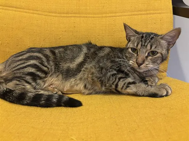 Fiona