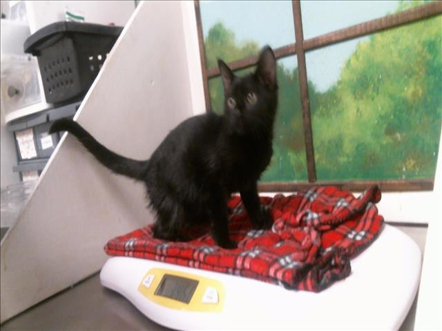 Sam