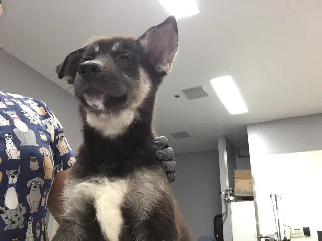 Roscoe