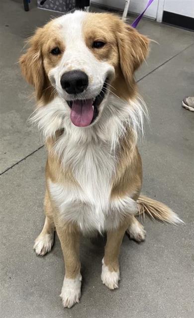 Baxter*