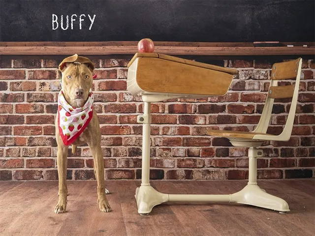 Buffy