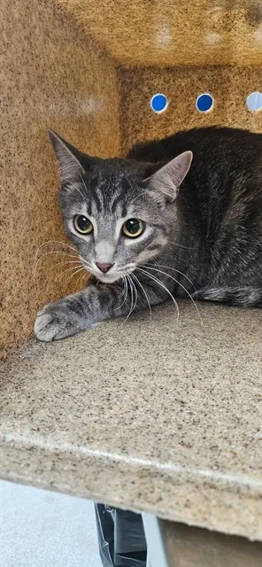 Benny