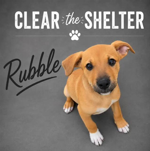 Rubble