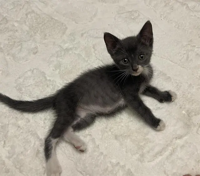 Fiona