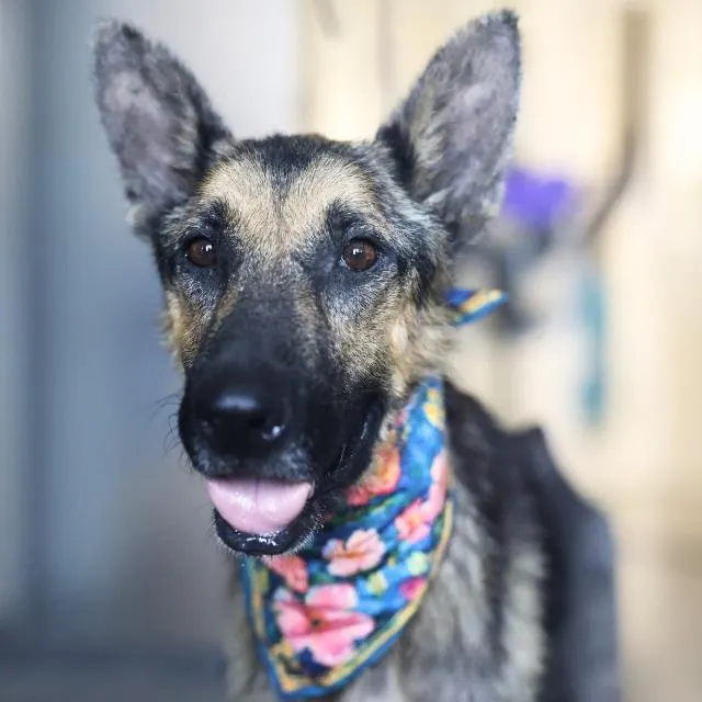 Skye