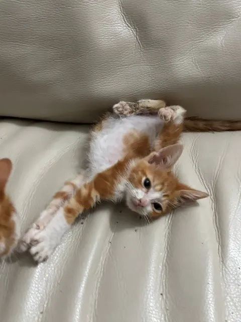 Sleepy
