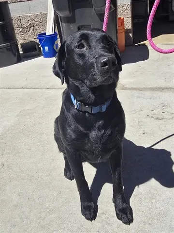 Luna