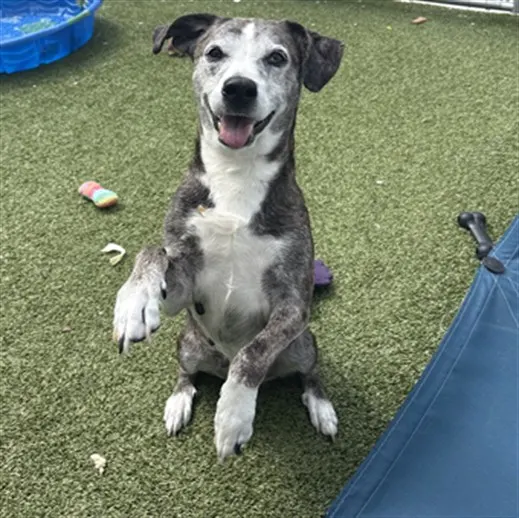 Ethel