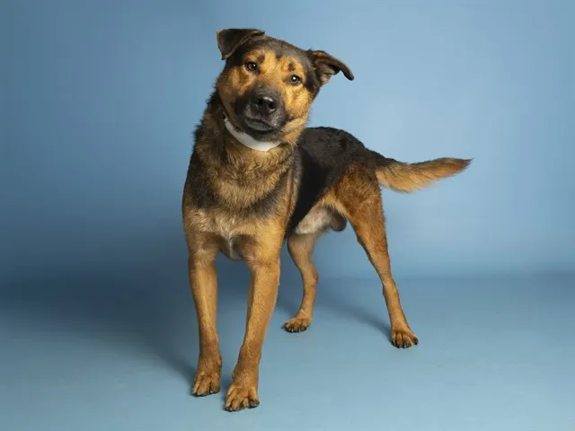 Walter