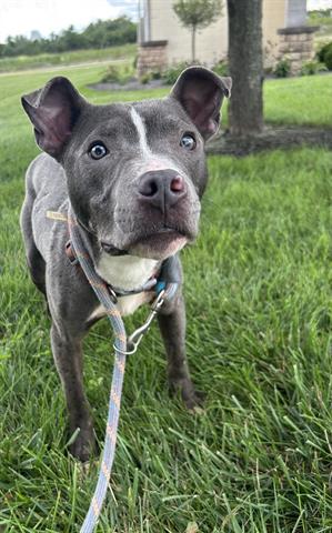 *Toad*