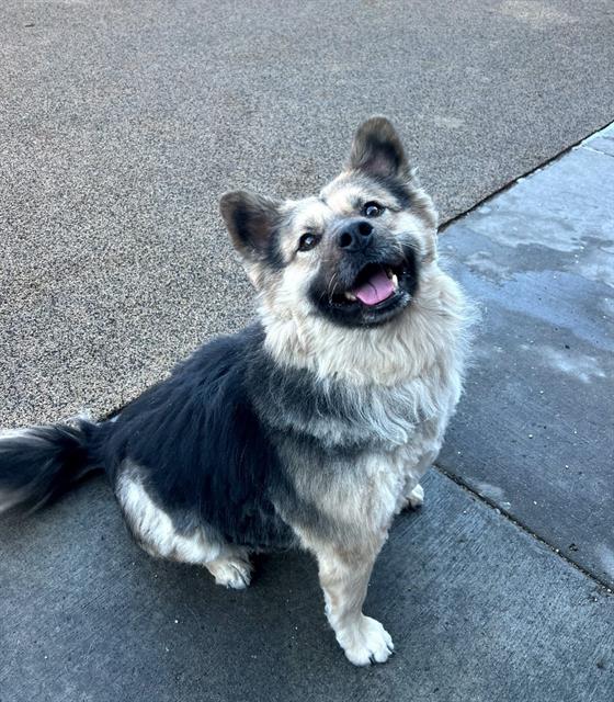 Dakota