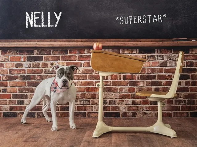Nelly