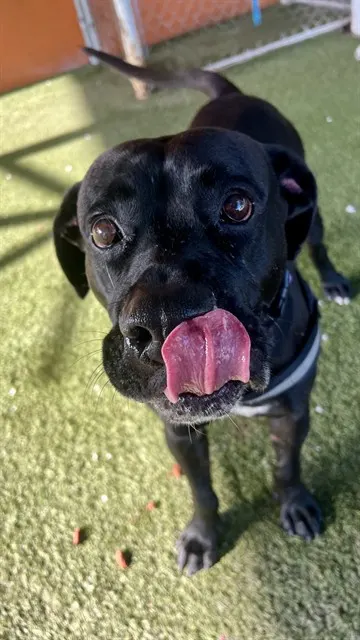 Ben