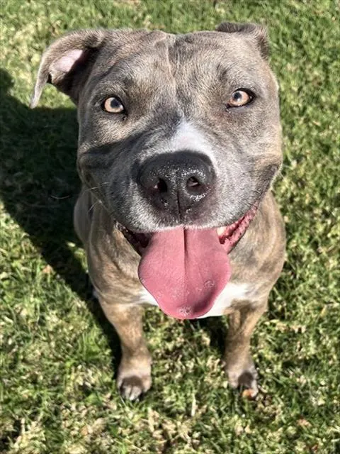 Coco