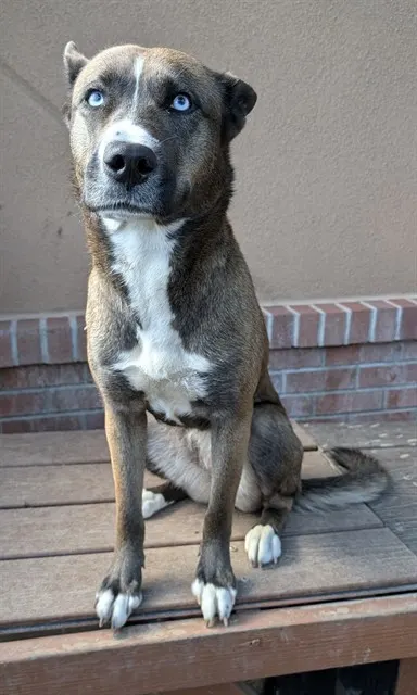 Mia