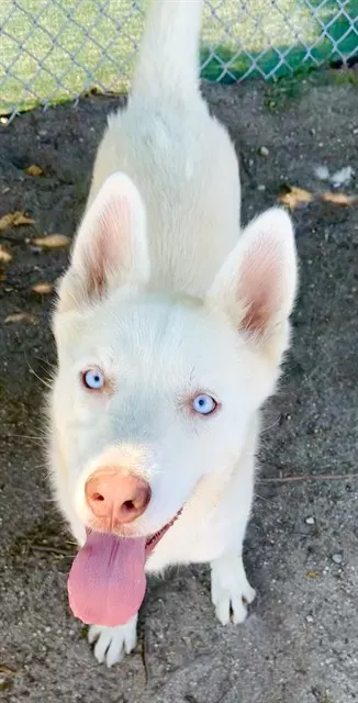 Lilah