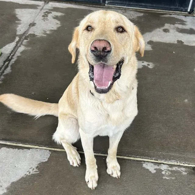 Marley