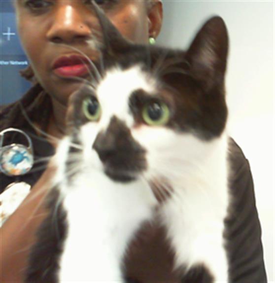 Oreo