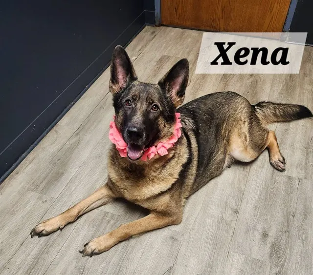Xena