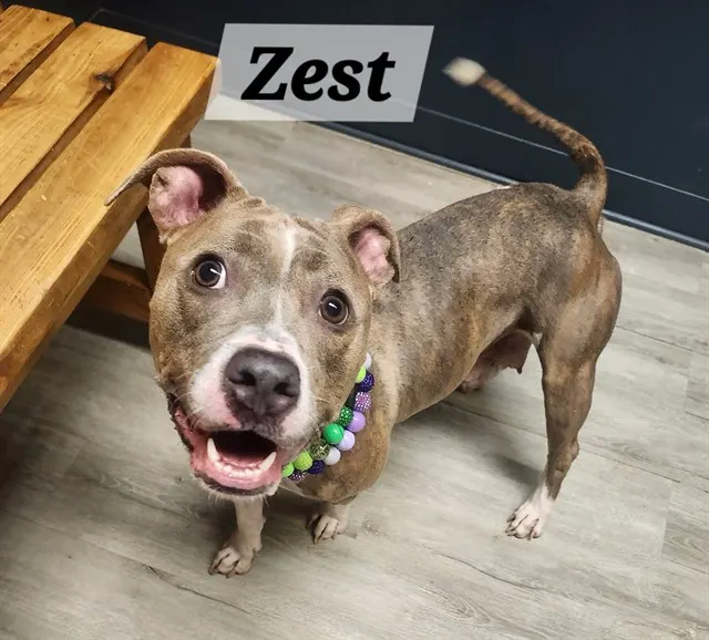 Zest