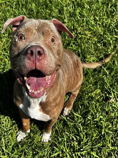Zeus