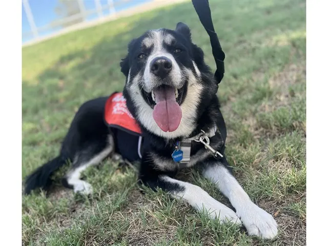 Charlie