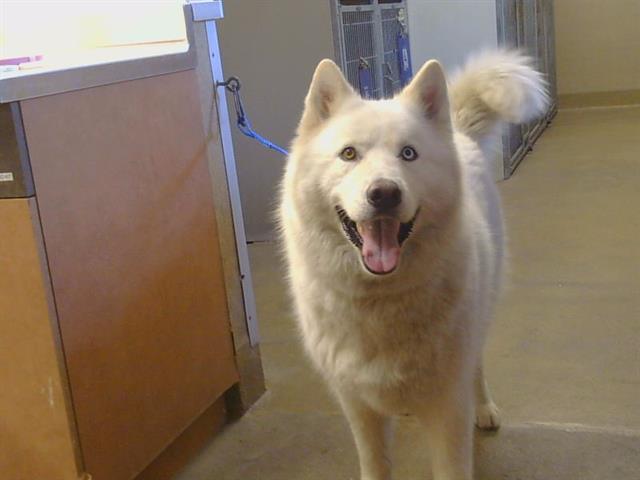 Woofy