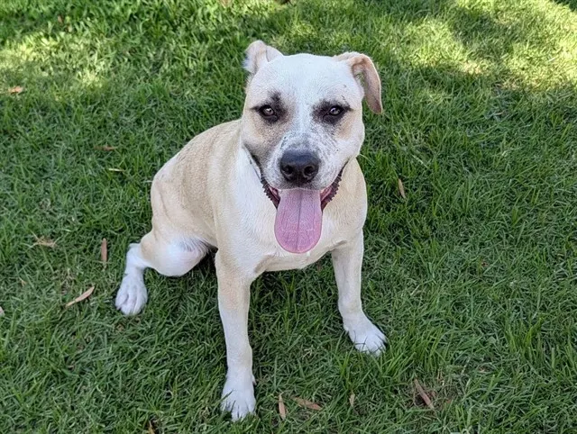 Maggie Mae