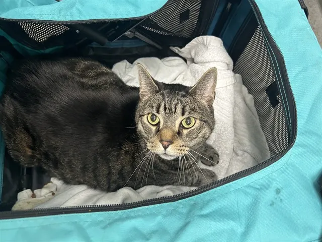 Max