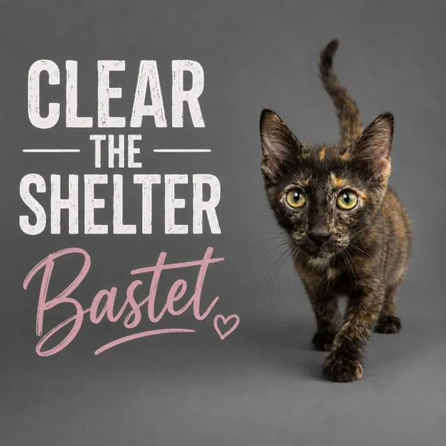 Bastet