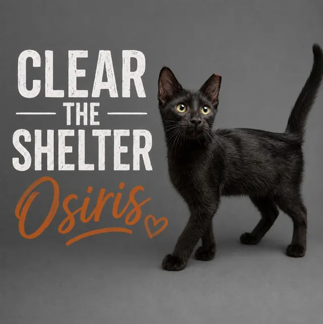 Osiris