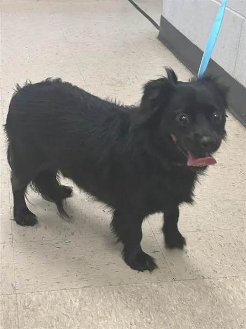 Max