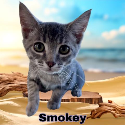 *Smokey