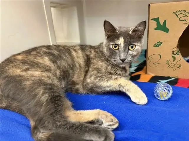 Mama