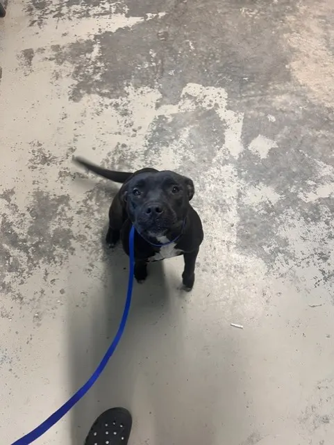 Minnie