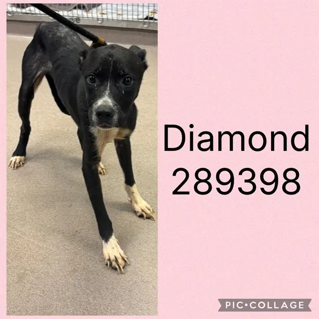 Diamond