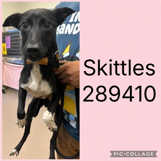 Skittles
