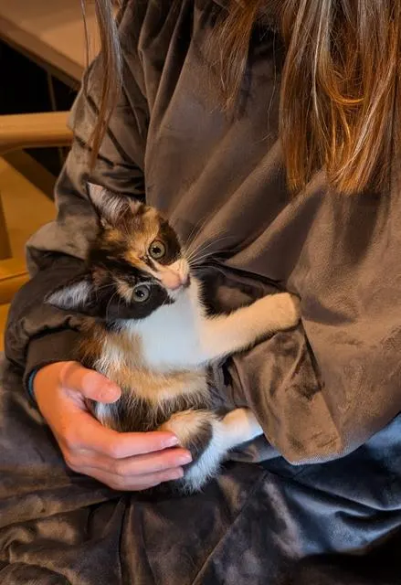Bubbie