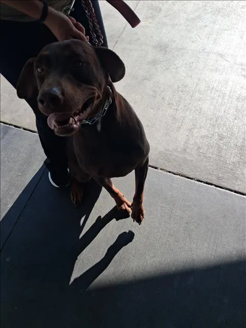 Bella