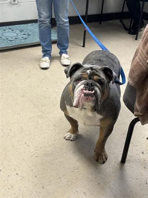 Zeus