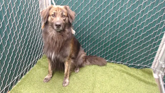 Max