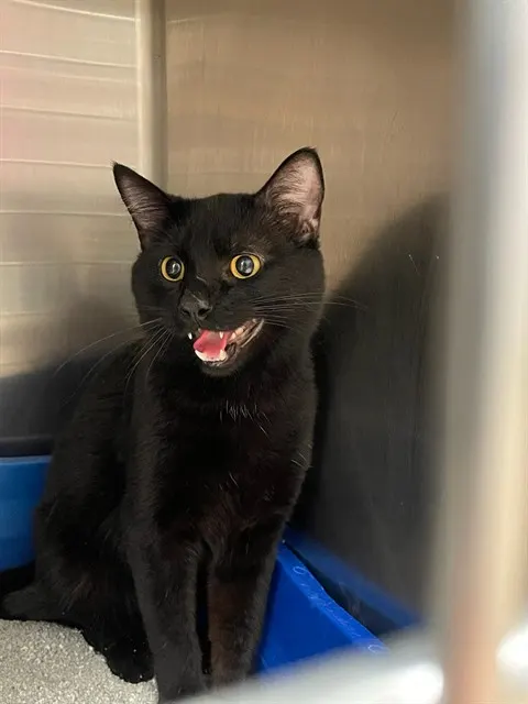 Sebastian