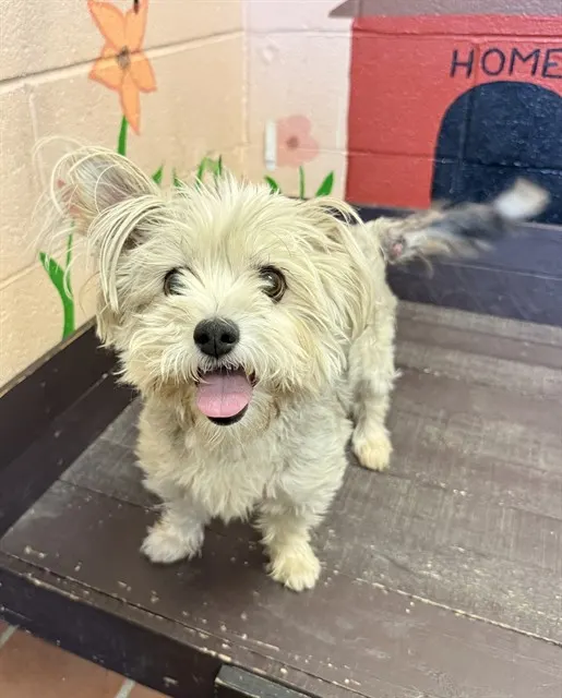 Bella