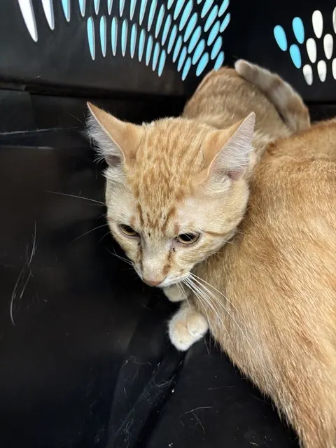 Rusty