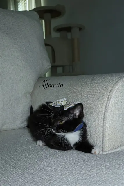 Affogato